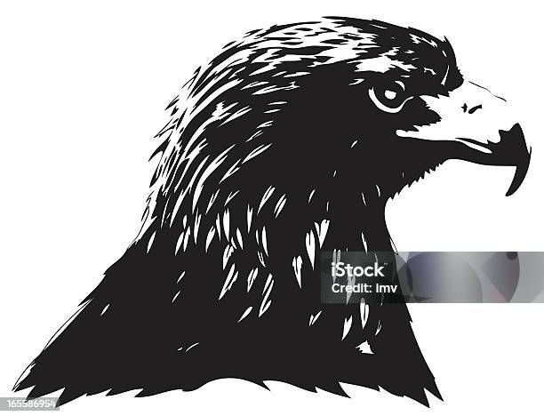 Golden Eagle Portrait Stock Illustration - Download Image Now - Animal, Animal Body Part, Beak
