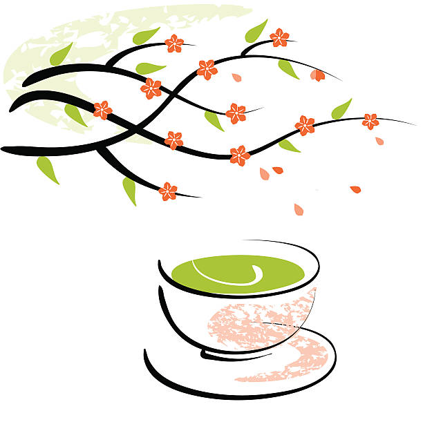 illustrazioni stock, clip art, cartoni animati e icone di tendenza di blossom e tazza di tè verde - tea cup tea green tea chinese tea