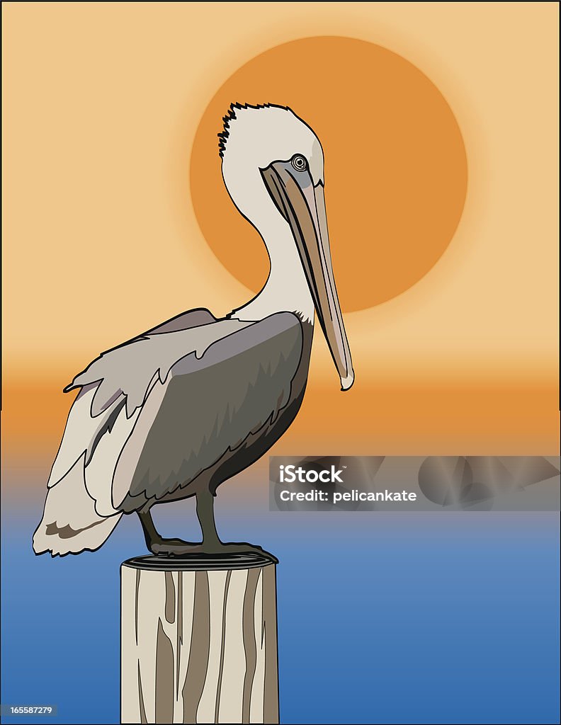 Pelican en la puesta de sol - arte vectorial de Pelícano libre de derechos