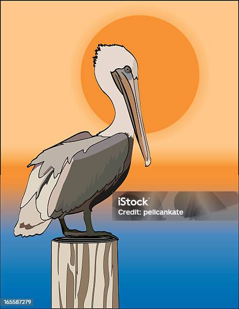 Ilustración de Pelican En La Puesta De Sol y más Vectores Libres de Derechos de Pelícano - Pelícano, Puesta de sol, Agua