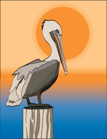 Pelican grouped and easily removed from background.  Gradients used in background but not in bird or post.  EPS and Hi Res JPG included in zip.