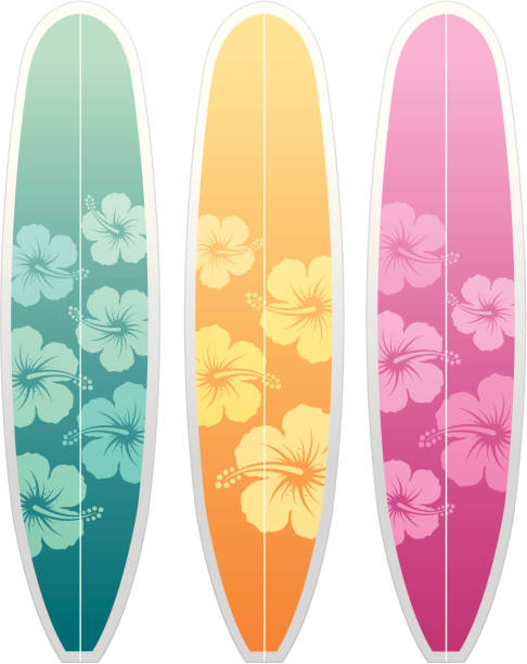 Surfboards hibiscus vector art illustration