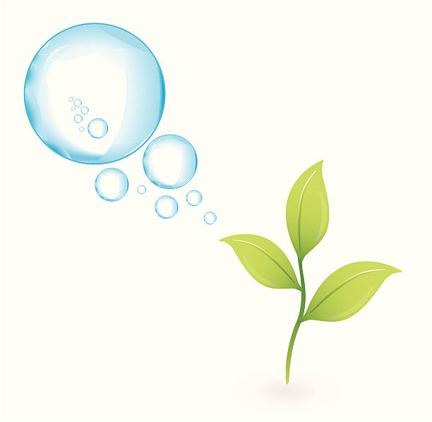 緑の植物酸素の泡 ベクターアートイラスト