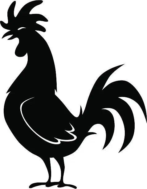 Vector illustration of Rooster Silhouette