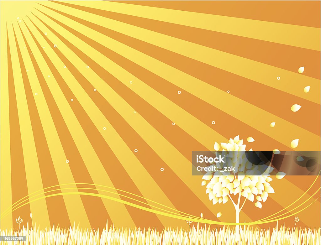 summer background  Backgrounds stock vector