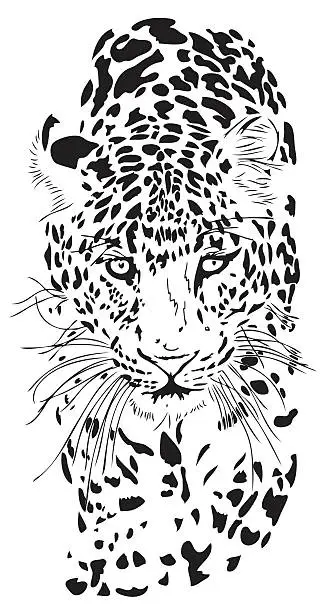 Vector illustration of Leopard portrait (Panthera pardus)