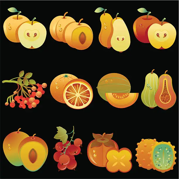Vector illustration of Collection of fruits 1