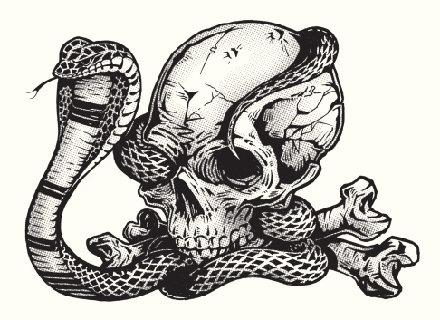 this is a pen and ink cobra snake illustration. this was a trace from the original artwork and does not have many editing capabilities because of the structure of the file. but the half tone screen and be colored or removed.