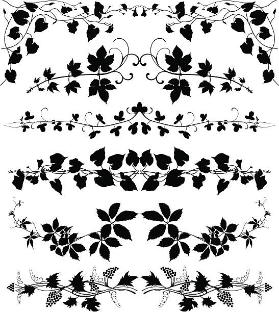 ilustrações, clipart, desenhos animados e ícones de videira plantas conjunto - floral pattern silhouette fabolous plant