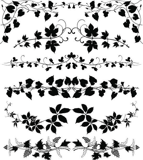 Creeper plants set Page decorations, black and white graphic. swirly vines stock illustrations