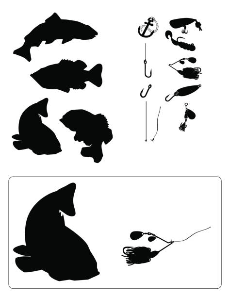 ilustraciones, imágenes clip art, dibujos animados e iconos de stock de silueta de pesca - black bass illustrations