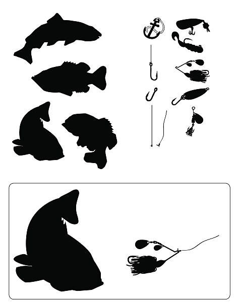fishing Silhouette vector illustration of fishing Silhouettes. Make your own arrangements with the assortment of icons at your disposal, just look at the example. black sea bass stock illustrations