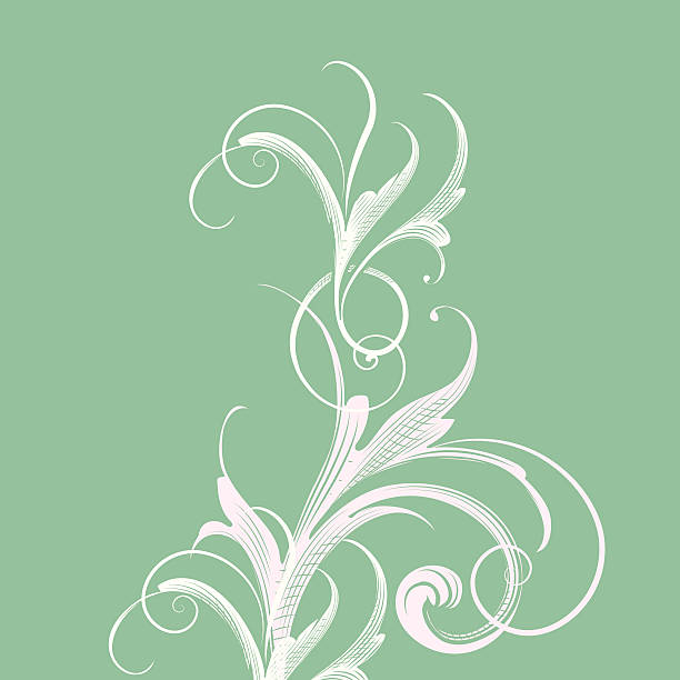 Light Green Scroll Background vector art illustration