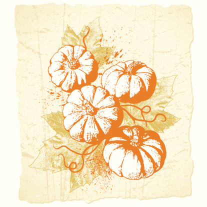 Illustration of a group of grunged pumpkins over fall leaves with a parchment paper background. All objects are separate and organized on clearly labeled layers. Global colors used and hi res jpeg included.Scroll down to see more of my illustrations.