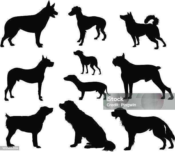 Dogs Set Stock Illustration - Download Image Now - Dog, Saint Bernard, Small