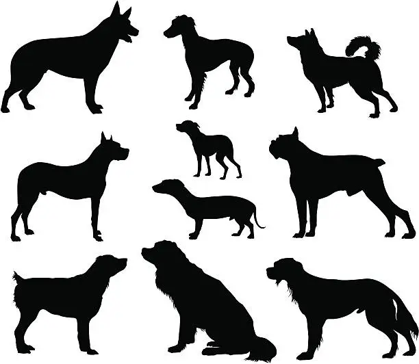 Vector illustration of Dogs set