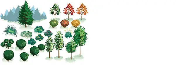 Vector illustration of Isometric Set, Foliage of Plants, Trees and Bushes