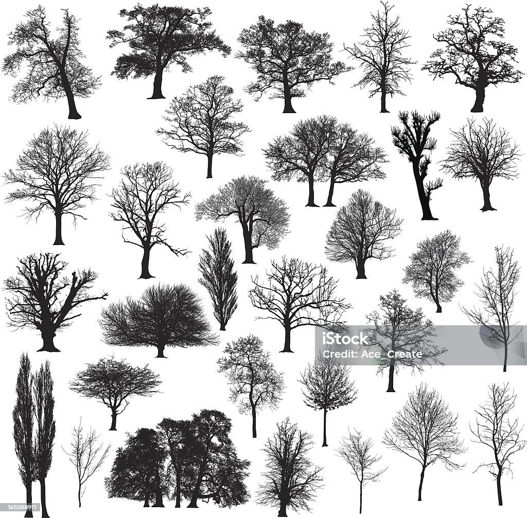 Winter tree silhouette collection Thirty different, detailed and beautiful winter tree silhouettes. Tree stock vector