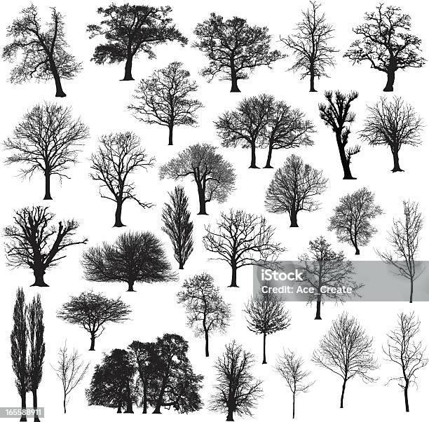 Winter Tree Silhouette Collection Stock Illustration - Download Image Now - Tree, In Silhouette, Vector