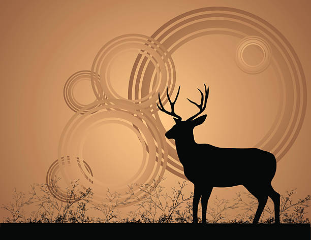 Mule Deer Buck Silhouette of a mule deer buck on brown background. mule deer stock illustrations