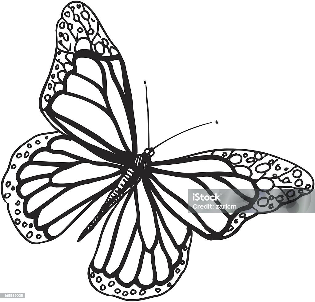 mariposa - arte vectorial de Animal libre de derechos