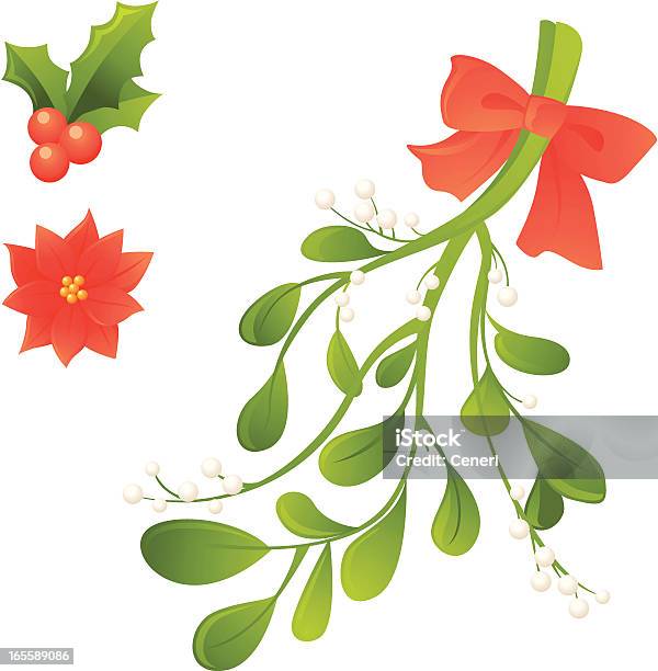 Natale Divisioni Agrifoglio Bacche Stella Di Natale Vischio - Immagini vettoriali stock e altre immagini di Vischio