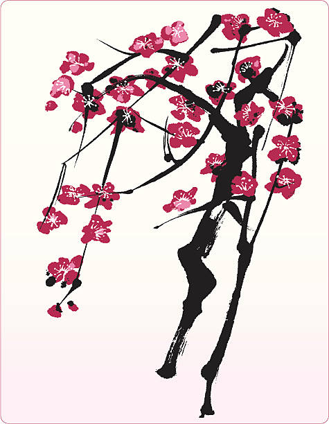 Blossom Tree - Oriental Style Painting http://www.volny.cz/frohm/Ink_01.gif blossom peach blossom plum blossom zen like stock illustrations