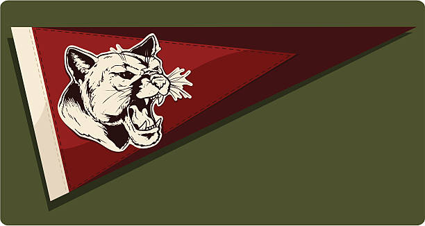 illustrations, cliparts, dessins animés et icônes de allez les cougars - sports flag illustrations