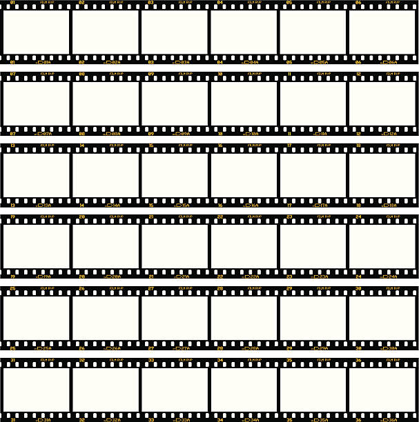 Contact Sheet A set of negative strips laid out into a contact sheet, each frame is numbered 1 through 36, exactly like a real piece of film. contact sheet photos stock illustrations