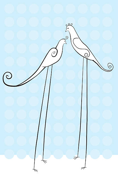 birds vector art illustration