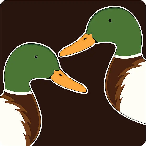 Vector illustration of Cute Mallard Ducks