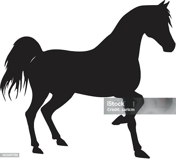 Koń - Stockowe grafiki wektorowe i więcej obrazów Koń - Koń, Sztuka, Abstrakcja