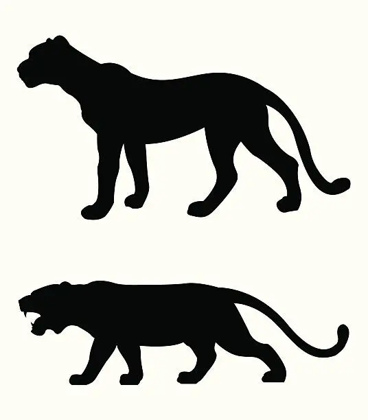 Vector illustration of tiger and cheetah