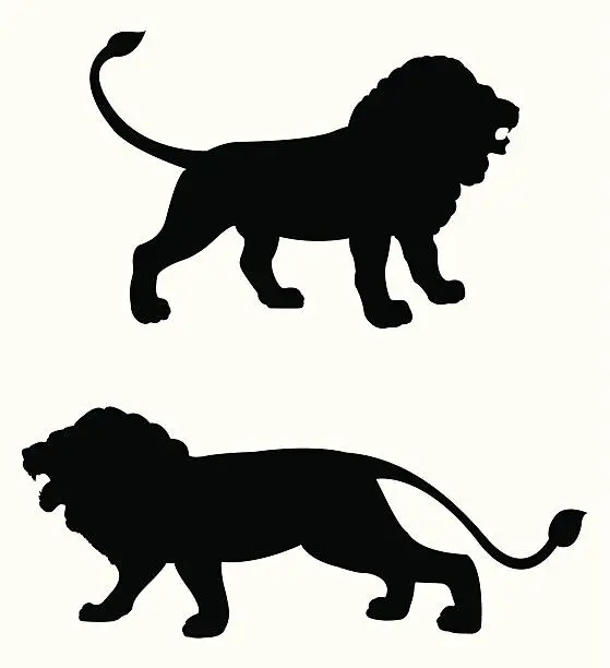 Vector illustration of Silhouettes of black lions roaring