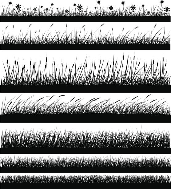 Elemen Ruput 52.700+ Rumput Clipart Ilustrasi, Grafik Vektor, & Clip Art Bebas ...
