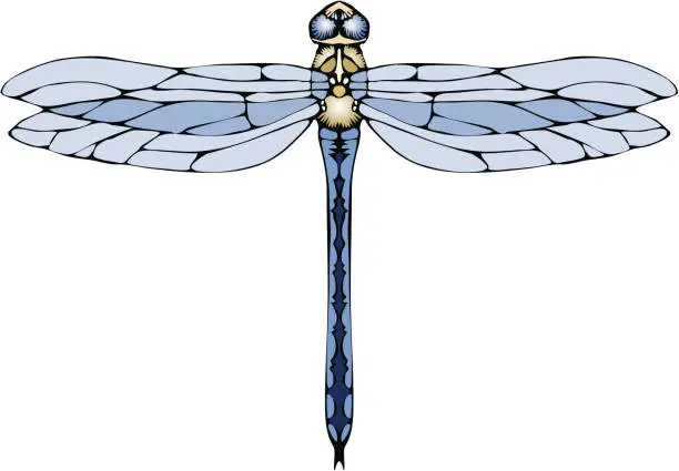 Vector illustration of Dragonfly