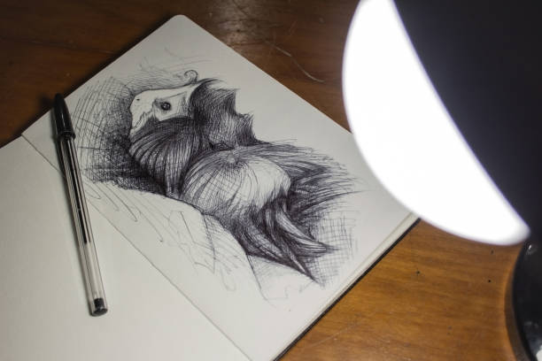 Drawing in a notebook of a guinea pig puppy