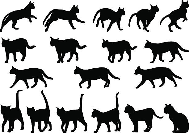 Cats behavior Running and walking positions of cats black cat stock illustrations