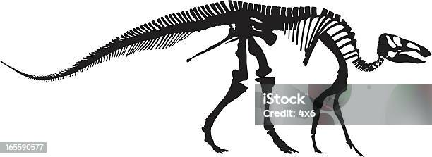Dinosaur Bones Stock Illustration - Download Image Now - Dinosaur, Animal Skeleton, Black And White