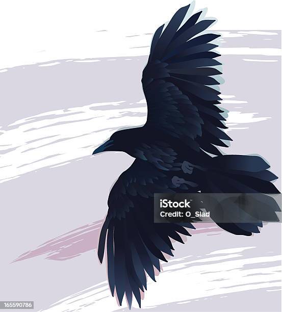 Flying Raven Stock Illustration - Download Image Now - Raven - Bird, Crow - Bird, Flying