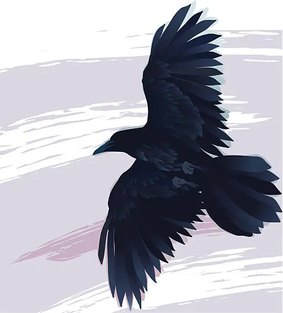 Vector illustration of Flying raven