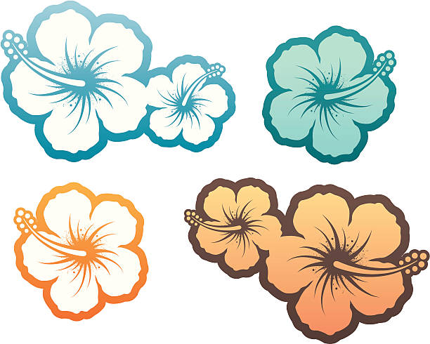 Hibiscus design element vector art illustration