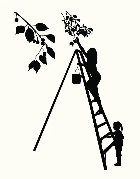 Vector illustration of Cherry Picking Vector Silhouette