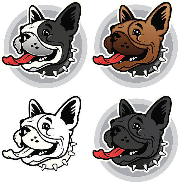 ilustraciones, imágenes clip art, dibujos animados e iconos de stock de bulldog francés de vectores - french bulldog