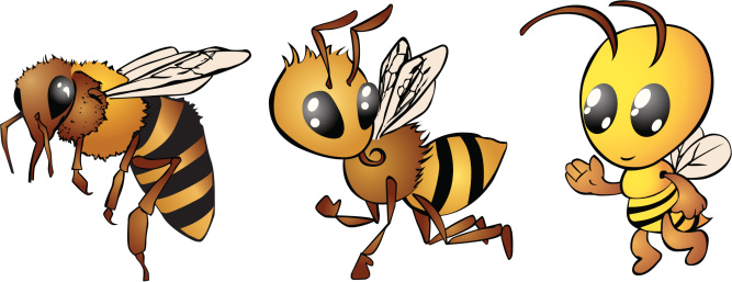 Bee transformation