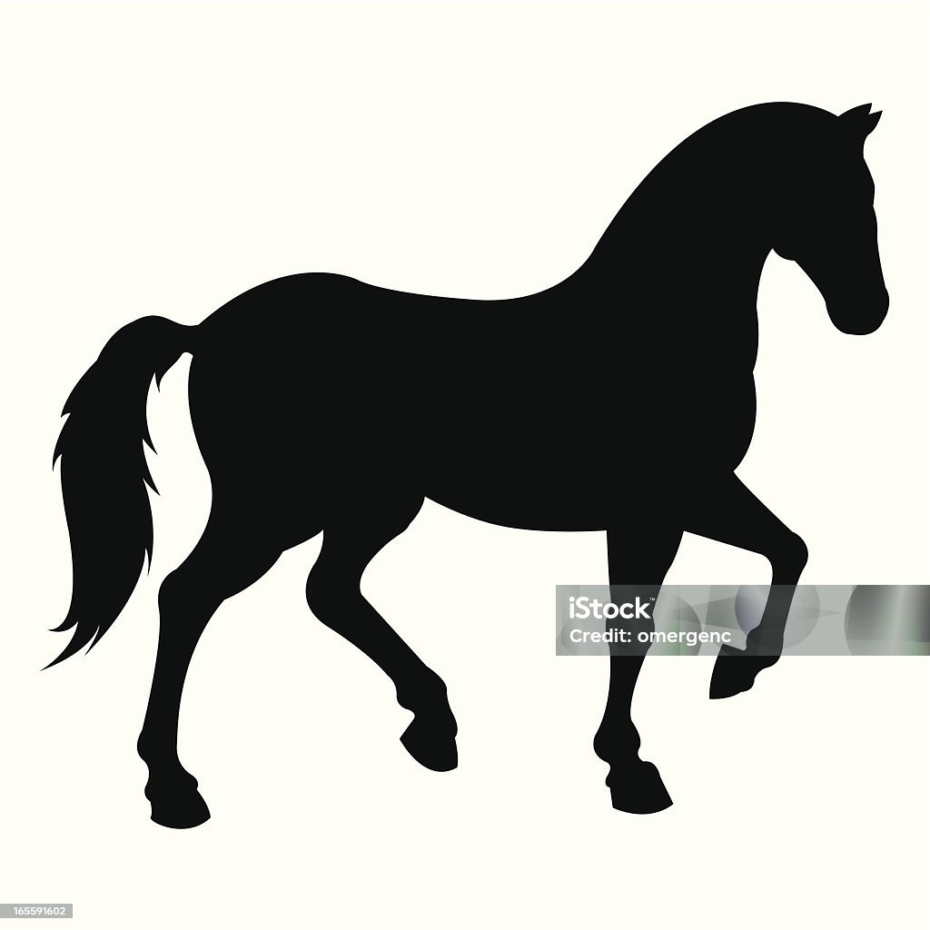 Vetores de Cavaleiro E Cavalo Pulando Uma Cerca e mais imagens de Cavalo -  Família do cavalo - Cavalo - Família do cavalo, Adulto, Animal - iStock