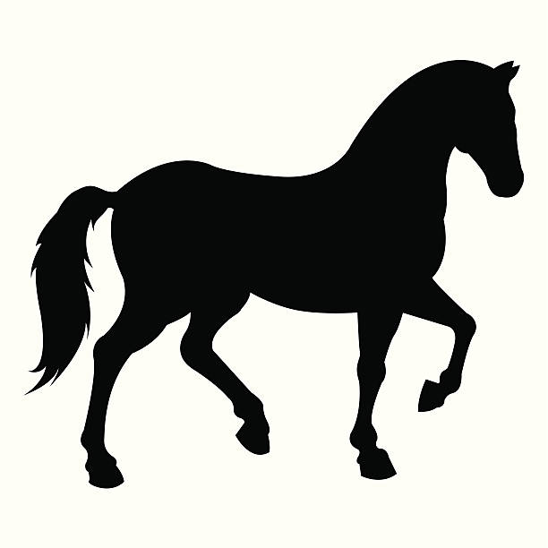 horse horse as black silhouette. this editable vector file contains eps8, ai10, aics2, pdf and 300dpi jpeg formats. horse stock illustrations