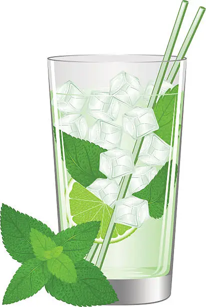 Vector illustration of Mojito