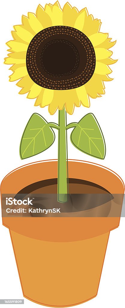 Ruukku auringonkukka kasvi - Rojaltivapaa avainsanalla Auringonkukka ja tyyppiä kuvapankin vektori