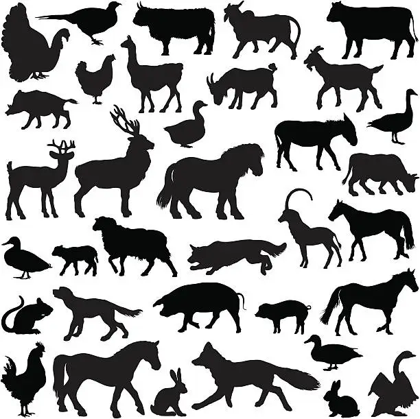 Vector illustration of Farm animal silhouette collection